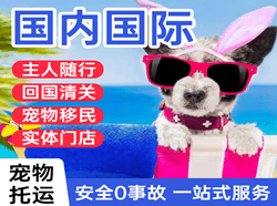 金湾空运代理国际宠物托运 【国